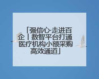 强信心·走进百企丨数智平台打通医疗机构小额采购高效通道